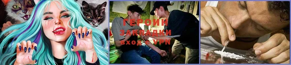 PSILOCYBIN Верхний Тагил