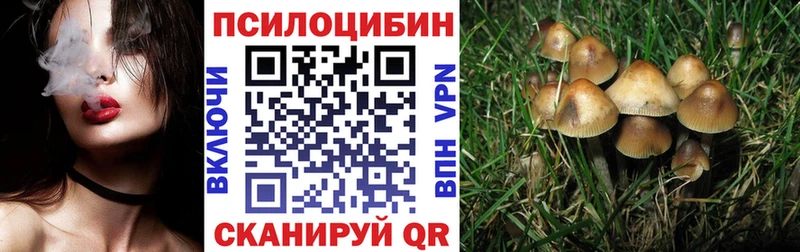 Купить где  Нерехта  Псилоцибиновые грибы прущие грибы 